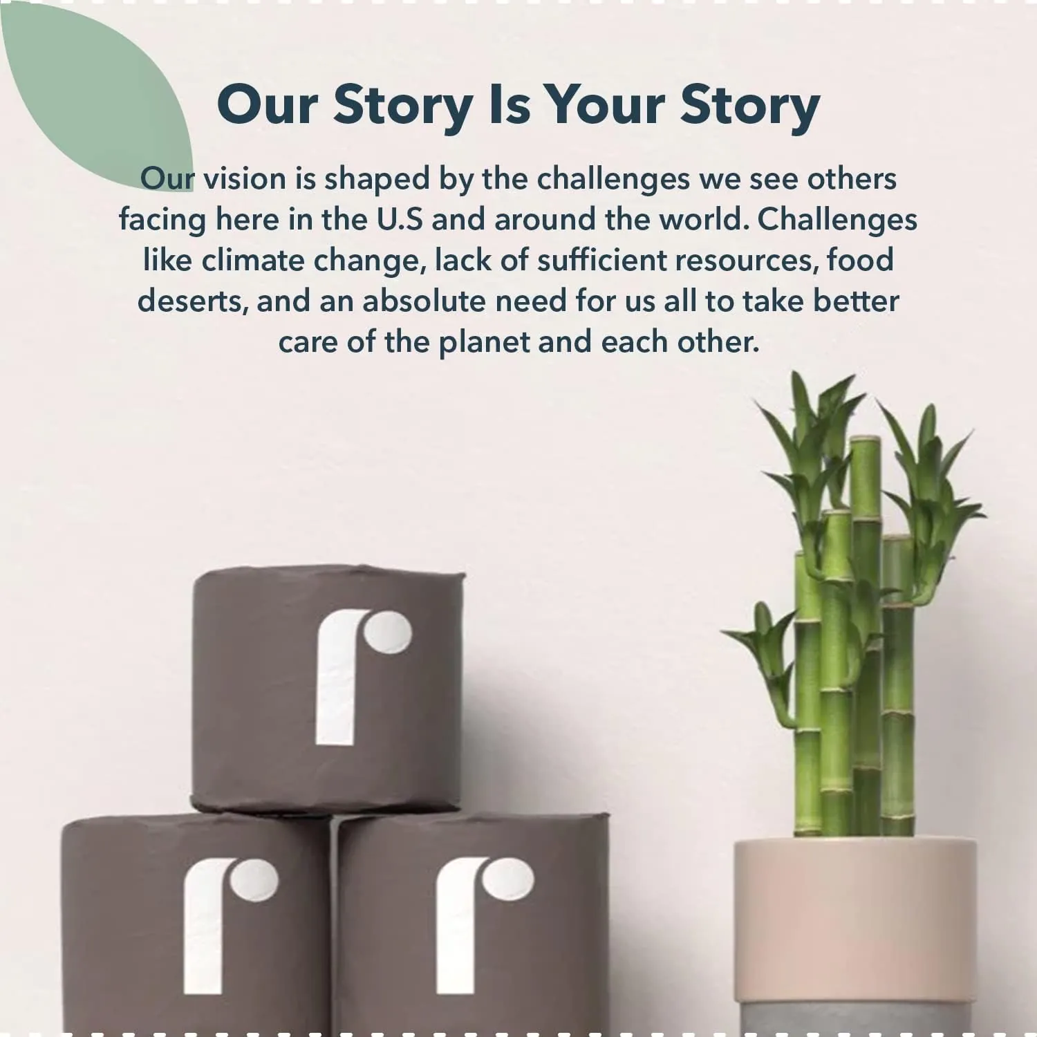 Reel Premium Toilet Paper - 24 Rolls of Toilet Paper - 3-Ply Made From Tree-Free - Zero Plastic Packaging, Septic Safe - Image 6